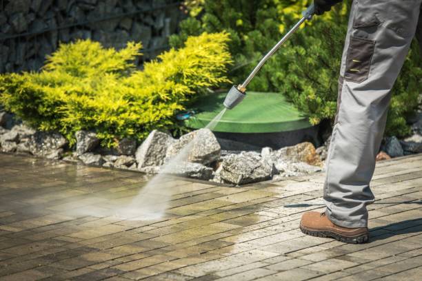Best Driveway Pressure Washing  in Rainsville, AL