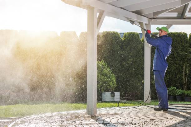 Best Rust Removal  in Rainsville, AL