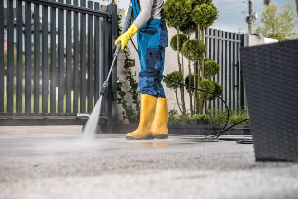 Best Pool Deck Cleaning  in Rainsville, AL